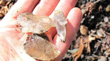 Zum Edelstein-Event Zum Edelstein-Event