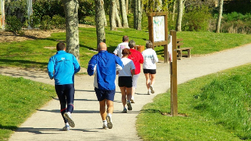 Zu den Wandertouren Zu den Wandertouren